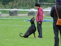2011  03