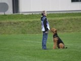 IMG 5176