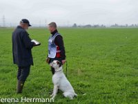 2014  11 : 5R, Verena Hermann, Verena Herrmann
