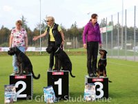 IMG_7850 : Gfeller