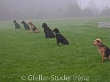 IMG_7443 : Gfeller
