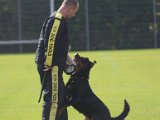 20141005 152840 -2 : Gfeller