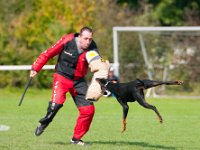 2017  145