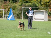 2017  147