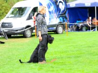 2021   136