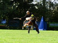 Mario Delfino 232