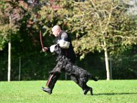 Mario Delfino 267