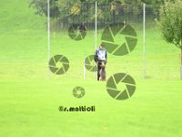 Sam - 003