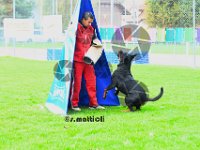 Sam - 041