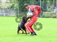 Sam - 048