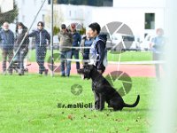 Sam - 152