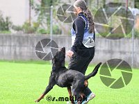 Sam - 218