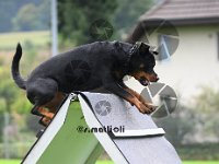 Sam - 278