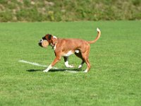 2026 037